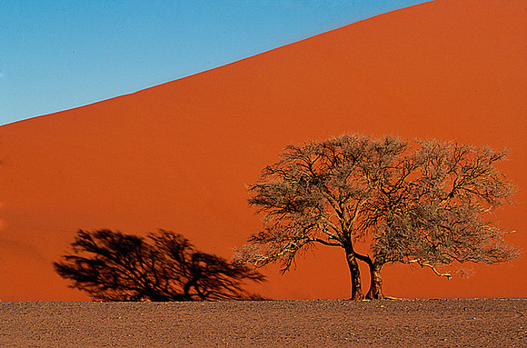 Sand Dunes