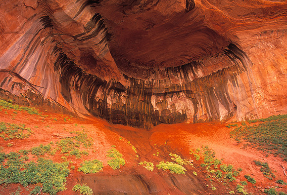 .Double Arch Alcove 1.