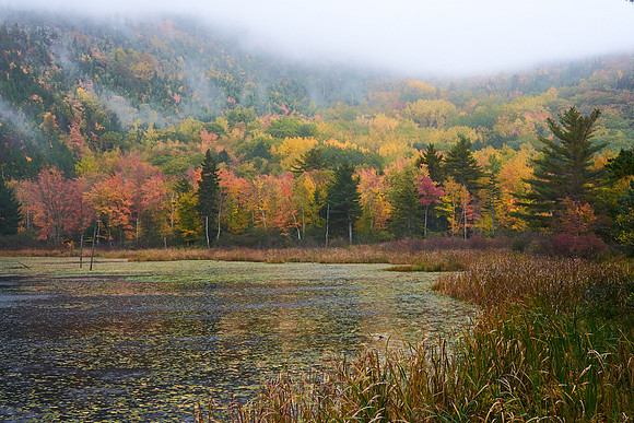 Acadia Pond 1