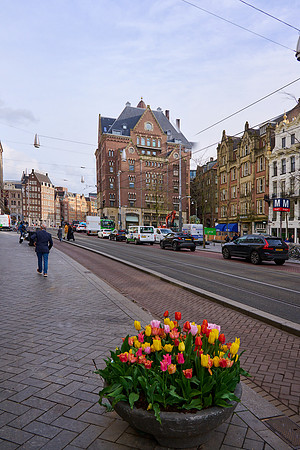 Amsterdam Street